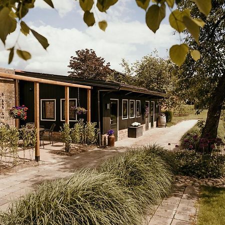 Вілла In De Tuin In Gees Екстер'єр фото