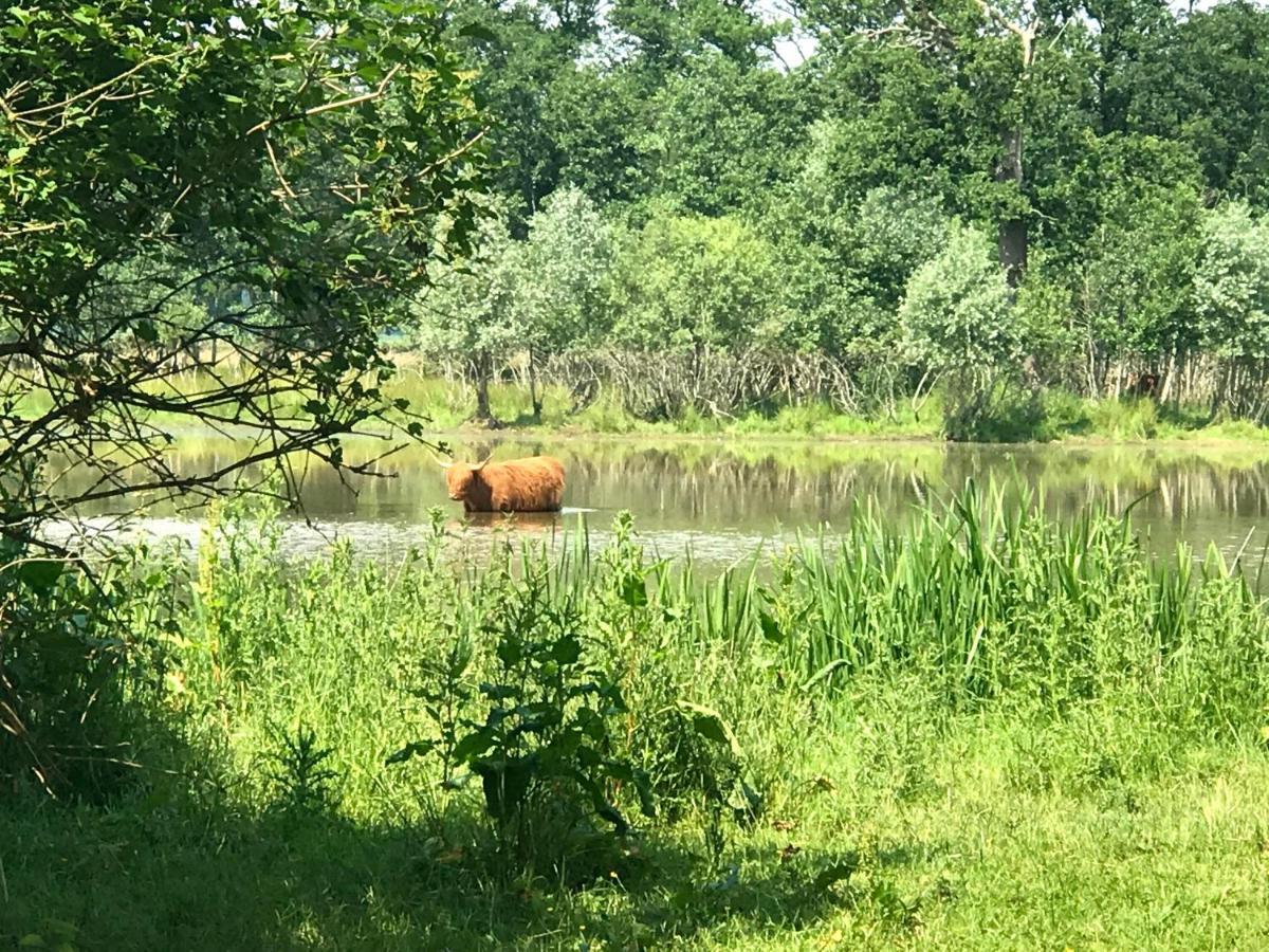 Вілла In De Tuin In Gees Екстер'єр фото